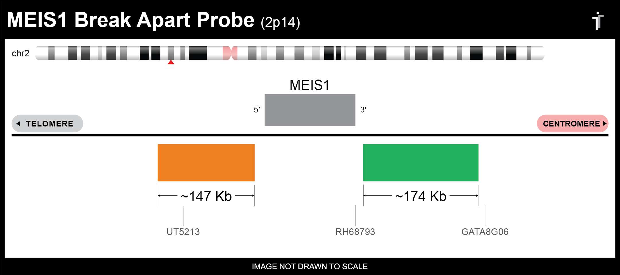 MESI1 break apart probe